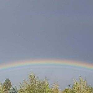 Meet your Posher, Angelica